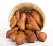 sweet potato