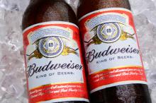 Budweiser Budvar Beer