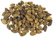  Voacanga  African seeds