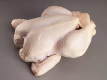 whole frozen chicken Grade A Broiler and Griller