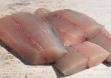  IQF   Tilapia  Fillet ,Frozen Bonito, Frozen Mackerel