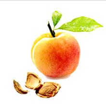 Amygdalin Extract