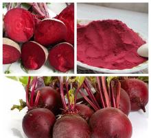  Natural   beet  root juice  powder  (newoly)