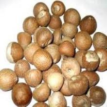 Whole Dried Betel Nut
