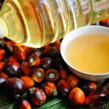 Refined  Palm   Oil  - RBD  Palm  Olein,  Used   Cooking   Oil , Palm  Shortening