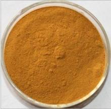 Opuntia ficus- indica  Extract