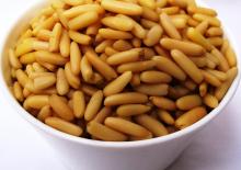 Cedar Nuts / Pine Nuts