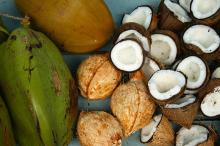 Vietnam Desiccated Coconut - Fine Grade