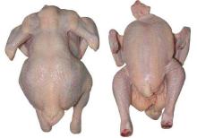 whole chicken halal origin brazil