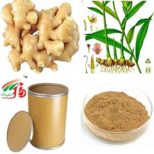 Ginger Extract