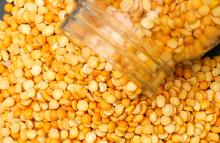 Best Quality Yellow Peas