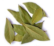 Bay Leaf, Laurel Leaf, Curry Leaf,Curry Powder, Laurel Leaves, Curry Leaves