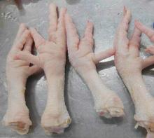 Frozen Processed Chicken Feet ( grade A)