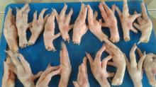 Frozen Chicken Paws