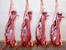 Frozen  Pork   Carcass 