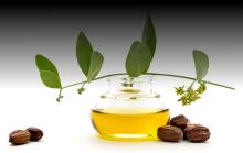 Organic jojoba oil
