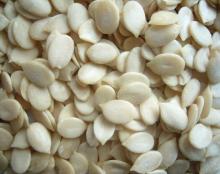  Melon  seed