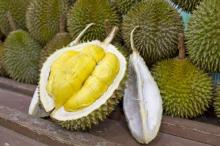 Fresh  Durian 