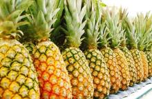 Fresh   Pineapple  Fruits