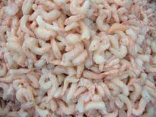 Cooked Peeled Cat Tiger Shrimps