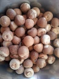 WHOLE AND SPLIT  BETEL   NUT S FOR  SALE 