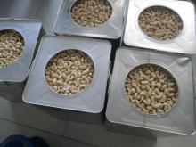 Raw Cashew Nuts Vietnam Origin//Quality Raw Cashew Nuts