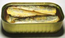 Canned Sardines