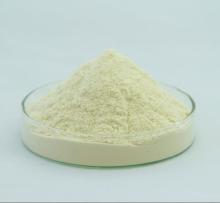 Soybean Phytosterol Powder 95%