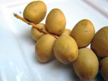  Fresh  date fruit
