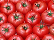  Fresh   Tomatoes 