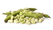 Broad beans