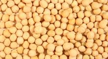 Whole yellow peas