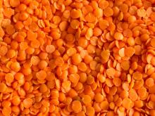 Red  split  lentil