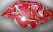 Frozen Beef Bobby Veal