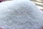 white Icumsa 45 suagar