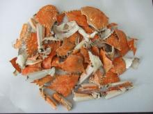  Dried   Crab   shell 