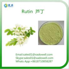 Plant Extract  Powder   Rutin  CAS No:153-18-4 EP98%Min/NF11 95%Min/DAB 98%Min