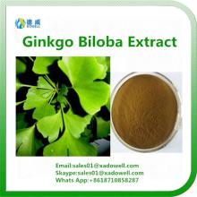 Healthcare Supplement  Ginkgo   Biloba   Extract  CAS No.: 90045-36-6
