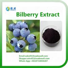  High   Quality   Bilberry   Extract  Anthocyandins 5-25%