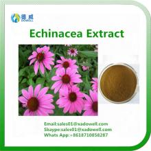 Botanic  Extract   Echinacea   Extract  CAS No:70831-56-0