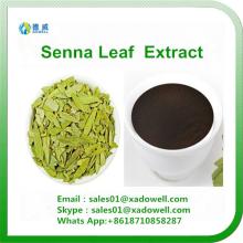 Herb extract- senna leaf extract 8% 10% 20%