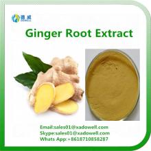 Natural High Quality  Ginger   Root   Extract 