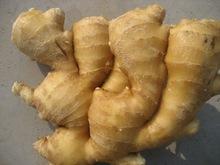 Fresh Ginger