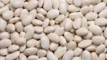 Grade 1 Quality White Kidney Beans For Sale