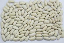 High quality delicious healthy White kidney beans