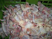 Brazilian Quality Halal Frozen Whole Chicken and Parts / Gizzards / Thighs / Feet / Paws / Drums