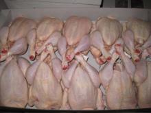 CHICKEN QUARTER LEGS AND WHOLE HALAL FROZEN CHICKEN FOR SALE