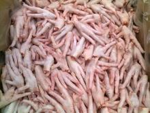 Grade A Halal Brazilian whole  frozen   chicken ,  Chicken   Parts , Brazilian Origin