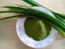 pandan  leaf   powder  from vietnames manufacture