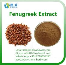 Top quality Natural Organic Fenugreek seed Extract